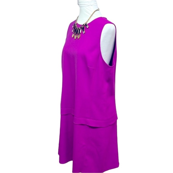 Loft Fuchsia Drop Waist Shift Dress - Picture 4 of 8